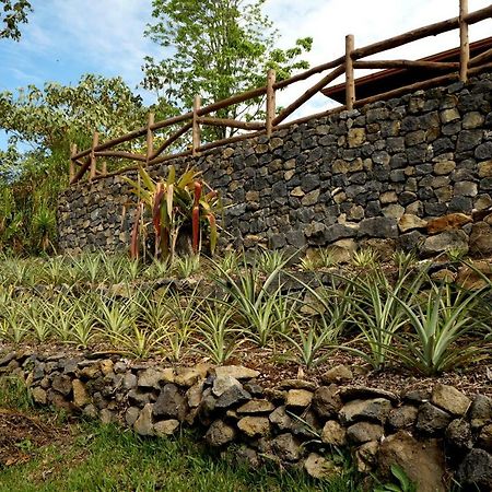 Finca Estacion Descansos Bed & Breakfast Paraíso Dış mekan fotoğraf